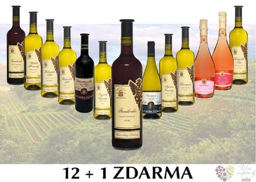 Vno z vinastv VS Lechovice 12+1 lahev za jedinou korunu