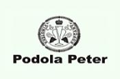 Peter Podola