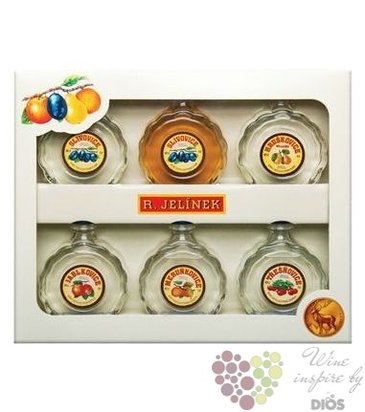 Drkov kolekce vybranch ovocnch destilt v lahvi budk Rudolf Jelnek  6 x 0.05 l