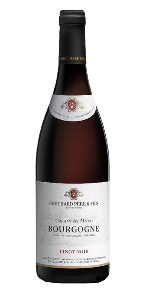 Bourgogne Pinot noir  Coteaux des Moines  Aoc 2020 Bouchard Pere &amp; fils  0.75l