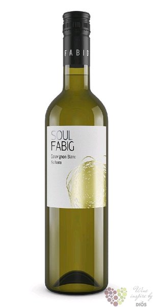 Sauvignon blanc  Soul Sahara  2018 moravsk zemsk vno vinastv Fabig  0.75 l