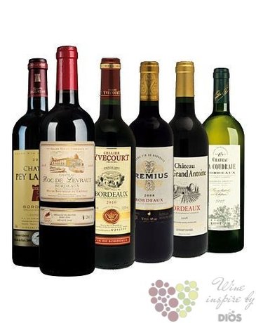 Kolekce vybranch francouzskch vn z vinask oblasti Bordeaux  Basic    6 x0.75 l