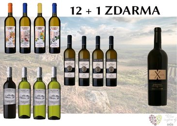 Víno z vinařství Mikrosvín 12+1 lahev za jedinou korunu