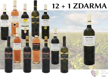 Víno z vinařství Tetur 12+1 lahev za jedinou korunu
