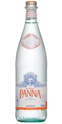 San Pellegrino Acqua Panna Italian natural spring water PET bottle  0.50 l