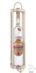 Hrukovice  Williams exclusive  Slovak fruits brandy by Old Herold 52% vol.1.50 l