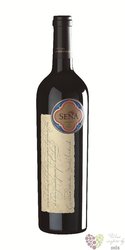 Seňa 2017 Aconcagua valley Do Chilean Icon wine by Eduardo Chadwick  0.75 l