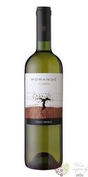 Pinot grigio „ Reserva ” 2013 Casablanca valley viňa Morandé   0.75 l