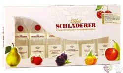 Special set of fruits brandy by Alfred Schladerer 6x0.03 l