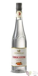 Abricotine du Valais Aoc Swiss apricot brandy Louis Morand &amp; CIE 43% vol.  0.70 l