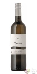 Pinot grigio „ vigneti Borgo Tesis “ 2020 Grave del Friuli Doc Fantinel   0.75l