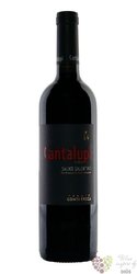 Salice Salentino rosso riserva „ Cantalupi ” Doc 2010 tenuta Conti Zecca  0.75 l