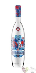 Modernessia premium Spanish dry gin 40% vol. 0.70 l