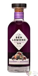 Ben Lomond „ Blackberry &amp; Gooseberry ” infused Scottish gin 38% vol.  0.70 l