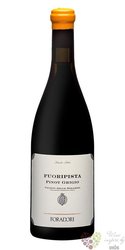 Pinot grigio  „ Fuoripista ” 2020 Vigneti delle Dolomiti Igp Elizabetta Foradori  0.75 l