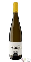 Muller Thurgau „ Tradizione ” 2021 Trentino Doc Endrizzi vini  0.75 l