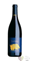 Pinot Nero cru  Ludwig  2018 Sudtirol - Alto Adige Doc Elena Walch  0.75 l