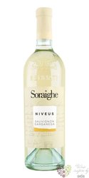 Sauvignon e Gargagnega  Niveus  linea Soraighe casa vinicola Bennati  0.75 l