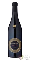 Primitivo Magnifico Fuovo 20 0.75l