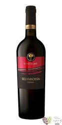 Salice Salentino Riserva  Selvarossa  Dop 2018 Due Palme  0.75 l