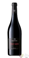 Pinot nero di Sicilia Igt 2009 fattoria Cusumano     0.75 l