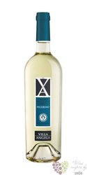Pecorino Falerio dei Colli Ascolani  Villa Angela  Docg 2019 Velenosi  0.75 l