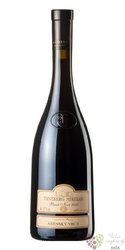 Tanzberg Pinot noir Anensk VzB 05 0.75l