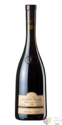 Pinot noir  Anensk vrch  2015 pozdn sbr Tanzberg Bavory  0.75 l