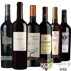Kolekce vybraných červených vín jedné odrůdy „ Cabernet Sauvignon ”     6 x 0.75 l