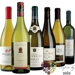 Kolekce vybraných bílých vín jedné odrůdy „ Chardonnay ”     6 x 0.75 l