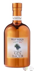 Bacur Italian floral gin by Bottega 40% vol.  0.70 l