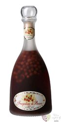 Fragoline di Bosco Italian wild strawberry liqueur Gagliano Marcati 25% vol.0.70 l