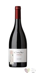 Pinot noir „ 20 barrels ” 2017 Casablanca valley Cono Sur  0.75 l