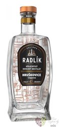 Radlk Hrukovice  45% vol.  0.50 l