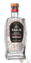 Radlk Teovice  45% vol.  0.50 l