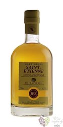 HSE Saint Etienne Arrang Ananas &amp; Passion  26%0.70l