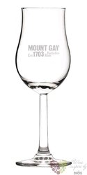 Sklenice rum Mount Gay