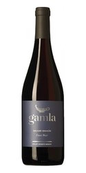 Pinot noir  Gamla  2021 Galilee Kosher wine Golan Golan Heights  0.75 l