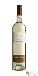 Pinot grigio delle Venezie „ Monteforte ” Igt 2018 cantine Riondo  0.75 l