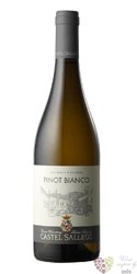 Pinot bianco „ Selection ” 2018 Sudtirol - Alto Adige Doc tenuta Castel Sallegg   0.75 l