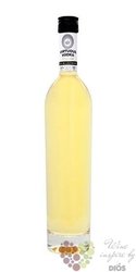 Virtuous „ Sea Buckthorn ” premium Sweden vodka 38% vol.  0.70 l