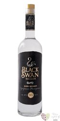Radamir „ Black Swan ” premium Belarusian vodka Gomel distillery 40% vol. 0.50 l